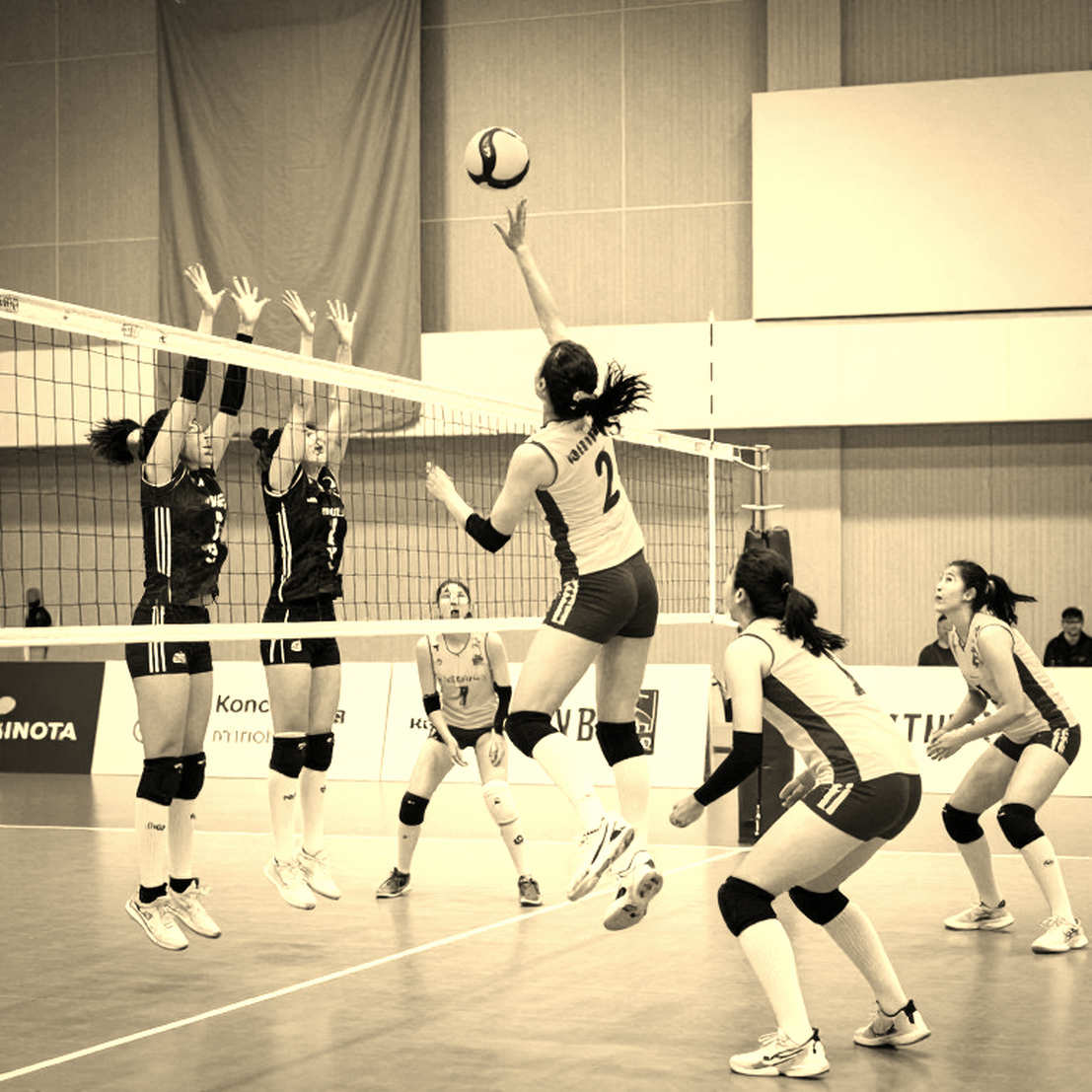 Cameroon cùng Tunisia giành vé dự World Championship 2027: đọc hành trình vào chung kết CAVB bằng dữ liệu